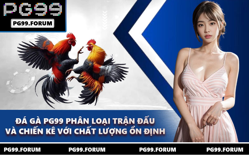 Đá gà PG99 phân loại trận đấu và chiến kê với chất lượng ổn định