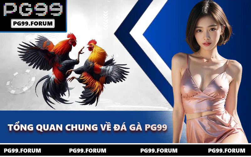 Tổng quan chung về đá gà PG99